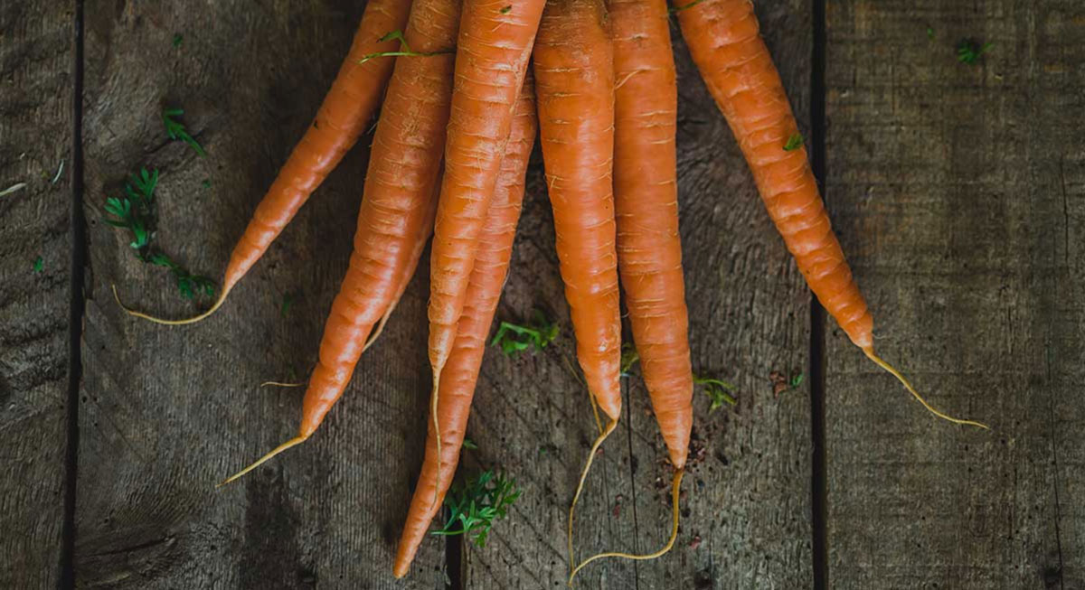 Featured image for “There’s More to Carrots Than Meets the Eye”