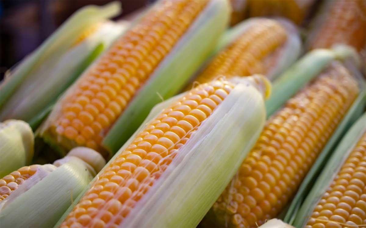 Featured image for “An A-Maize-ing Superfood to Try This Summer”